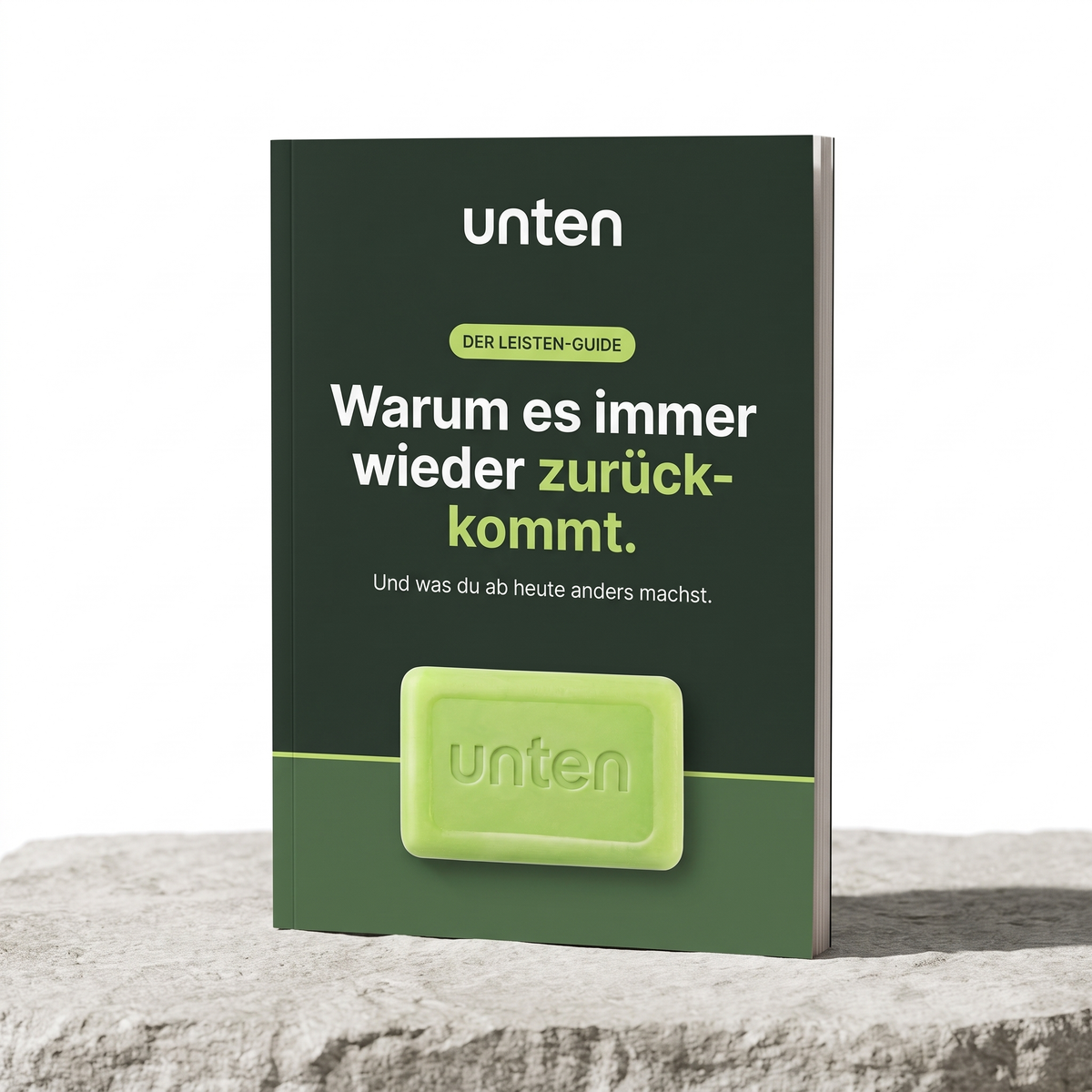 GRATIS: Leisten-Ratgeber